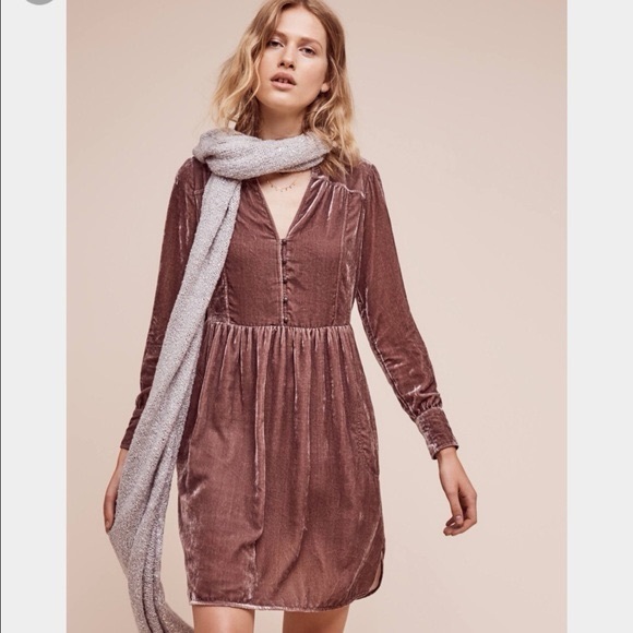 Anthropologie Dresses & Skirts - Anthropologie Holding Horses Velvet Dress Mauve